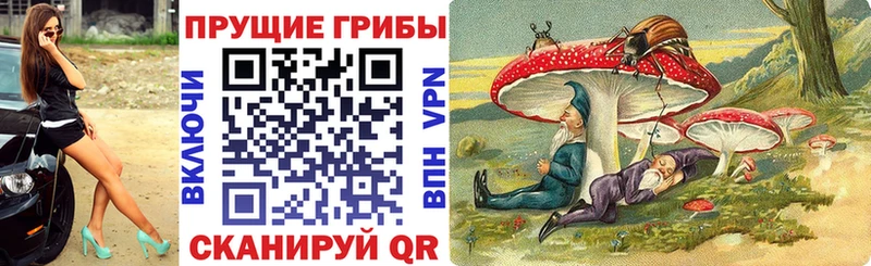 Галлюциногенные грибы ЛСД  дарк нет официальный сайт  Ярославль 