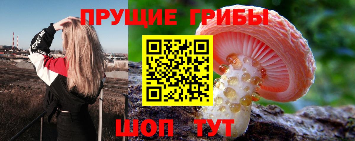 Ярославль  Галлюциногенные грибы MAGIC MUSHROOMS  Псилоцибиновые грибы Psilocybine cubensis  Вход с VPN 