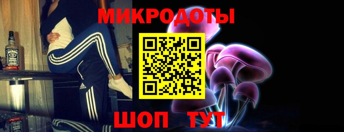 Галлюциногенные грибы Psilocybine cubensis Ярославль